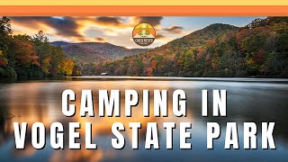 Vogel State Park Campground Tour  Site #44 | Creek Side Camping in Georgia