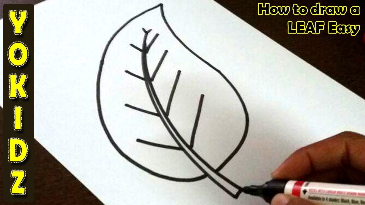 How To Draw Leaves - Draw Space