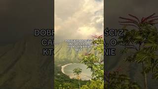 Dobre newsy, o których nikt nie mówi 🌍#shorts #fakty #świat #ciekawostki #viral #news #xyzbca