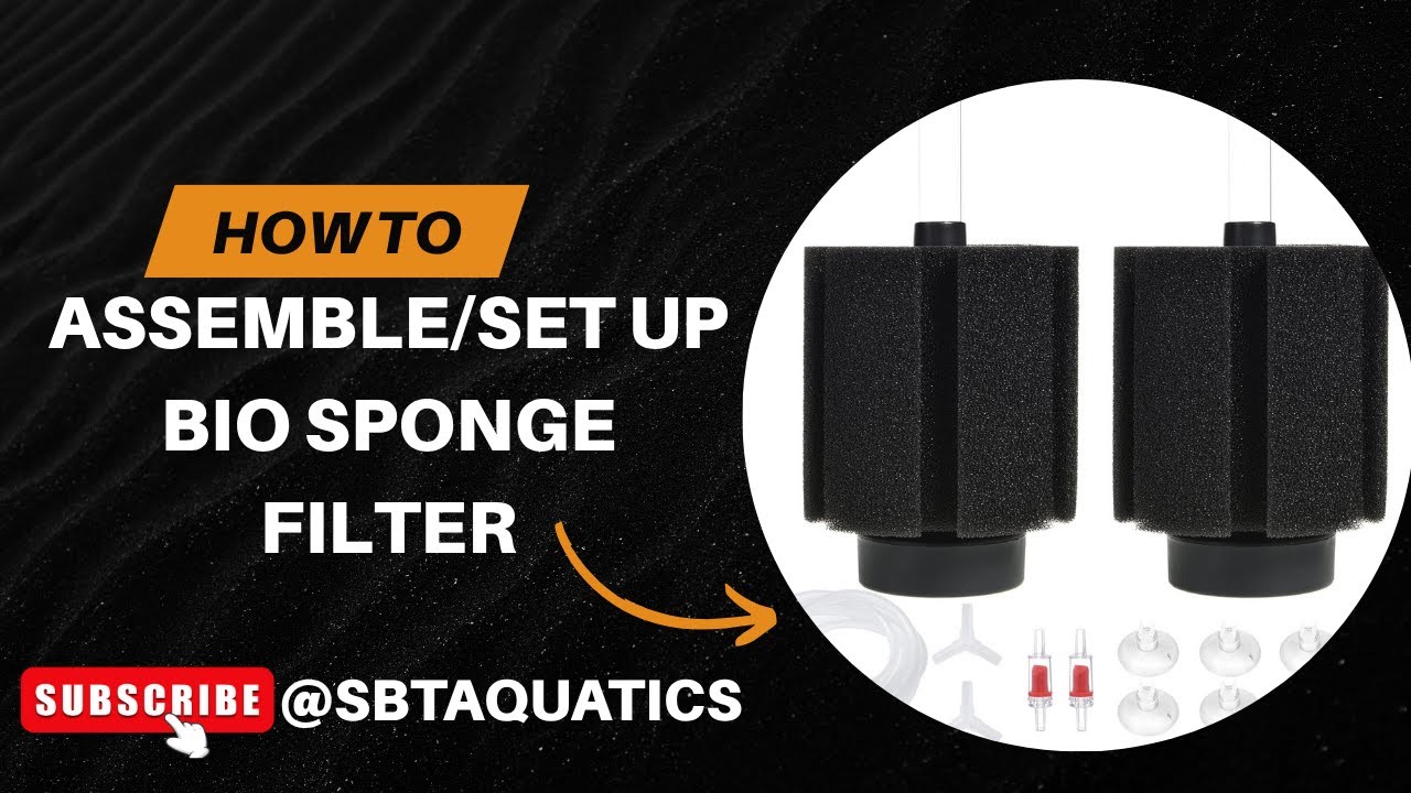 How To: Bio Sponge Filter Assembly and Set Up! - YouTube