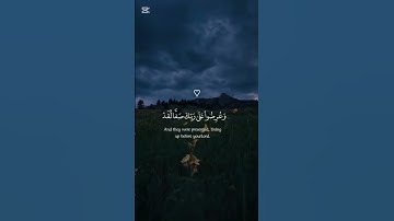 المال والبنون زينة الحياة الدنيا والباقيات الصالحات | القارئ اسلام صبحي #قرآن #راحة_نفسية