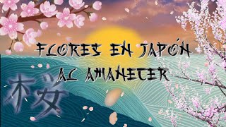 [MAIKA] Flores en Japón al amanecer