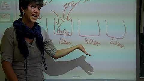 Enzyme Catalysis Lab Video