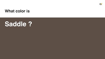 Saddle color #5d4e46 hex color - Brown color - Cool color 5d4e46
