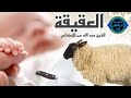 العقيقة للشيخ عبد الله عمر الاركاني ABDALLAH OMARAL ARKANI 
