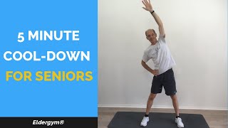 Eldergym® Academy: 5 Minutes Standing Cool Down for SENIORS