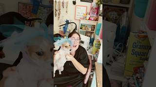 Empty Nest (dead dance) life