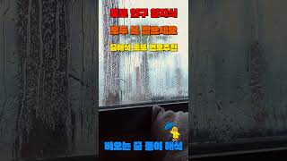비오는 꿈 해석, 꿈해몽으로 로또 번호 추천 #꿈해몽로또 #로또번호예상 #로또1등 #비오는꿈해석