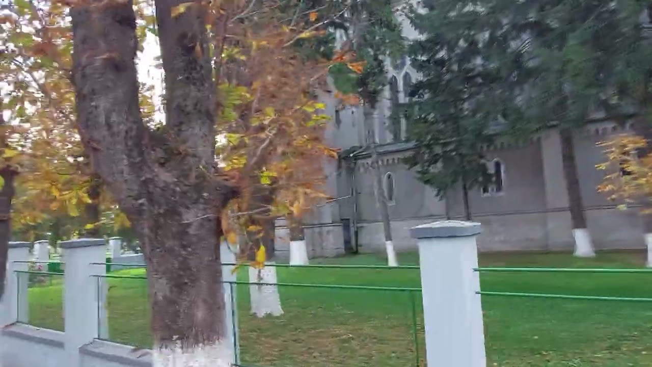 Vinga - Județul Arad