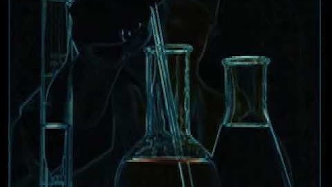 The Scientific Method Video