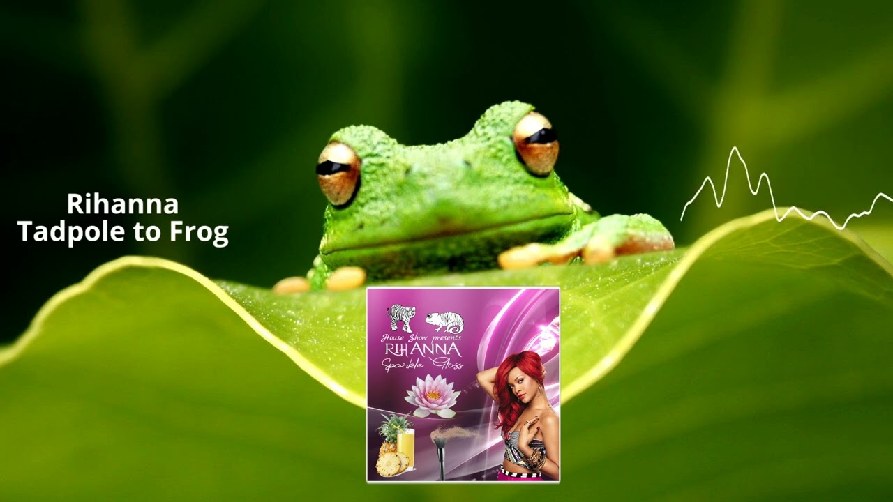 Rihanna - Tadpole to Frog | Album “Sparkle Gloss” - track 08