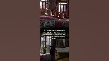 سورة ( المزمل ) من ايه ( ٨ - ١٠ ) القارئ ( هاني الرفاعي ) .