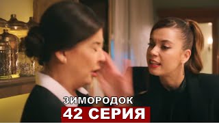 Зимородок 42 серия русская озвучка
