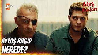 Çatal, Alinin Babasının Yerini Söylemek Istemiyor - Ateş Kuşları 29. Bölüm