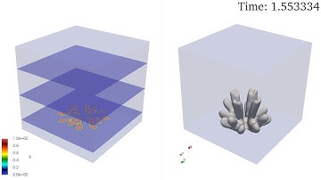 Dendritic Electrodeposition in Metal Anode Battery - Simulation