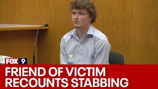 Apple River stabbing trial: Witness takes stand