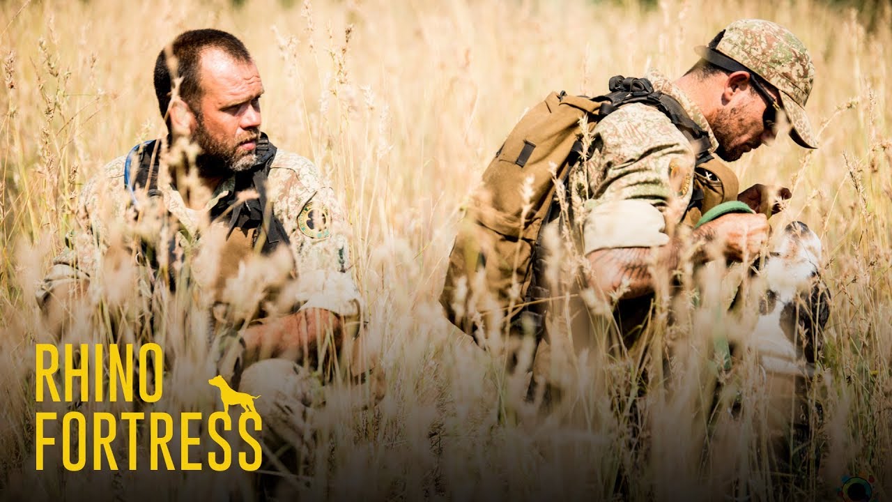 Крепость Носорога: Опасности защиты