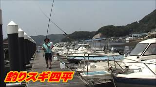 沖目からショアに向かってエギング(46話目)