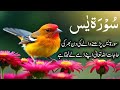 🍁Surah Yaseen Surah Ar Rahman | Best Qur'an Recitation | Surah Yasin full | With Arabic text HD 