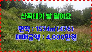 500 산꼭대기 밭 팔아요 신창리 주말농장매매 깊은산속 장기주말농장매매 산골짜기 포항밭매매 나는자연인이다 적당한 지역 차량진입이 가능한 밭매매 포항부동산 장기부동산 지목부동산
