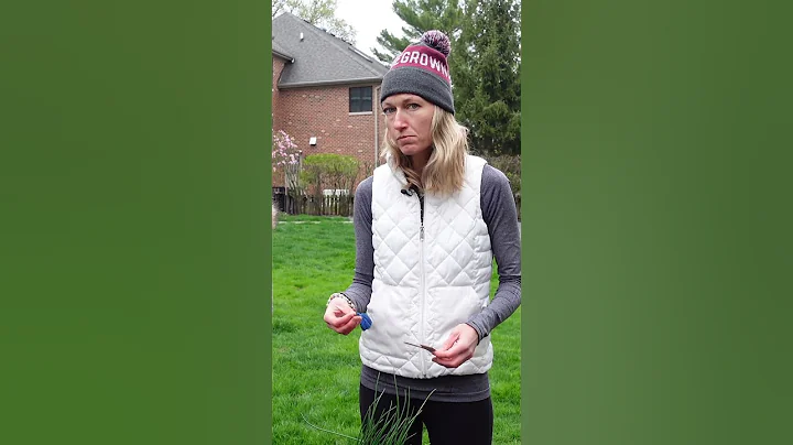 Got worms? Then, you have healthy soil! 🙌