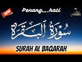 سورة البقرة كاملة رقية للبيت وعلاج للسحر القارئ طارق محمد Surah Al Baqarah