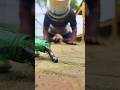 Stop it, don't call me a kid anymore, now I'm good at controlling Millipede #shortsfeed #shortsvideo