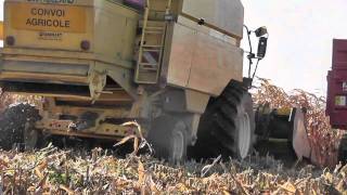 Moisson du maïs grain 2010 en Bretagne / Harvest corn