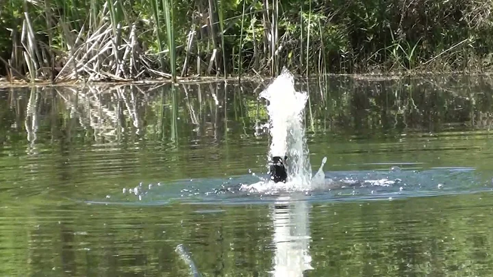How to make a Pond Fountain Water Aeration