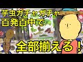 【奇跡⁉︎】昆虫イラストレーターなら昆虫ガチャガチャ（イモコレ ）を5回で5種コンプできるのかやってみた。