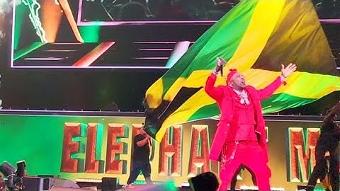 Elephant man Daughter lockdown Reggae Fest massive with dance move & Surprise Elephant man
