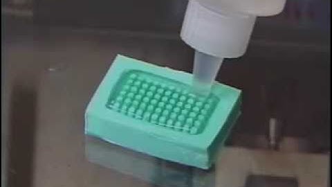 Frozen Tissue Array Construction Using Arraymold