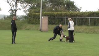 Download Lagu Training IPO VO Ria en Gina MP3