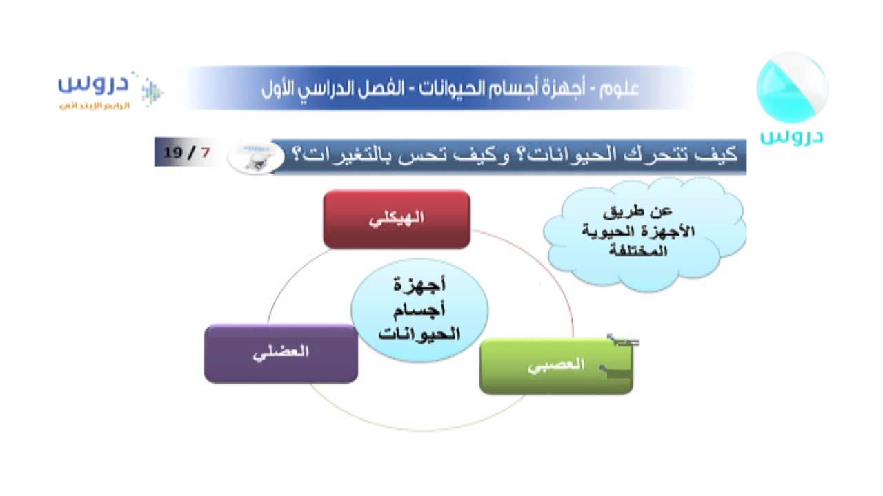 مطوية أجهزة أجسام الحيوانات