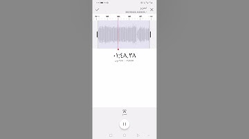 آيات من سورة البقرة برواية ورش القارئ ربيع عبدالخالق الشنوي