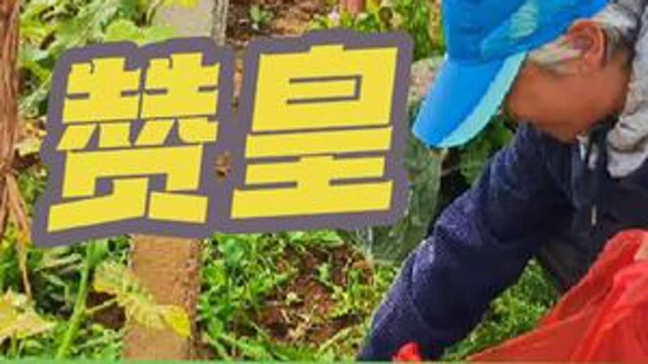 赞皇松会村 一日休闲游  到处都是春天的味道