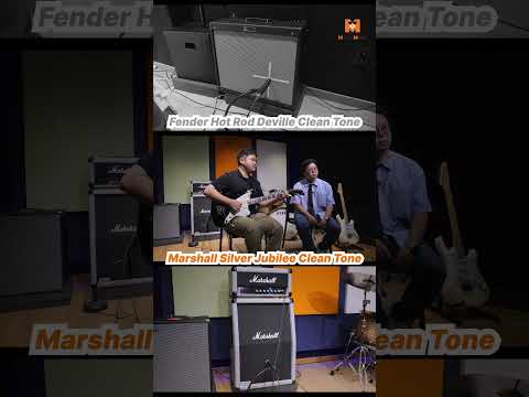 🎸팬더 vs 마샬! 앰프비교 당신의 선택은?