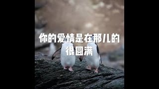 201907 你的爱情是在那儿的　很圆满51550