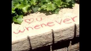 Download lagu I Will-The Beatles-Lyrics Video (L.V.)