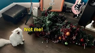 Not Me, The Wind Knocked It Over Cats And Christmas Trees