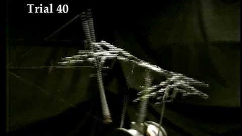 A Robot Learning Devil Sticking