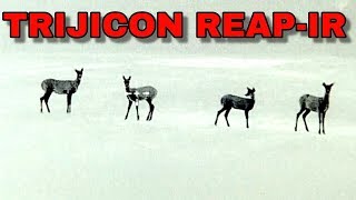 Trijicon REAP-IR | Full Review