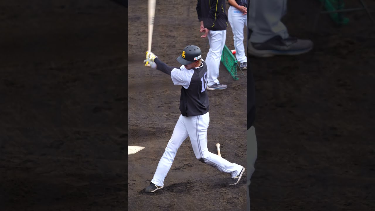 【ホークス】三森大貴 選手 ティーバッティング 春季キャンプ 福岡ソフトバンクホークス #shorts