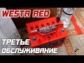 WESTA RED - ТРЕТЬЕ ОБСЛУЖИВАНИЕ!