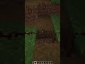 Minecraft Minecraft but everything went wrong 😂 #minecraft