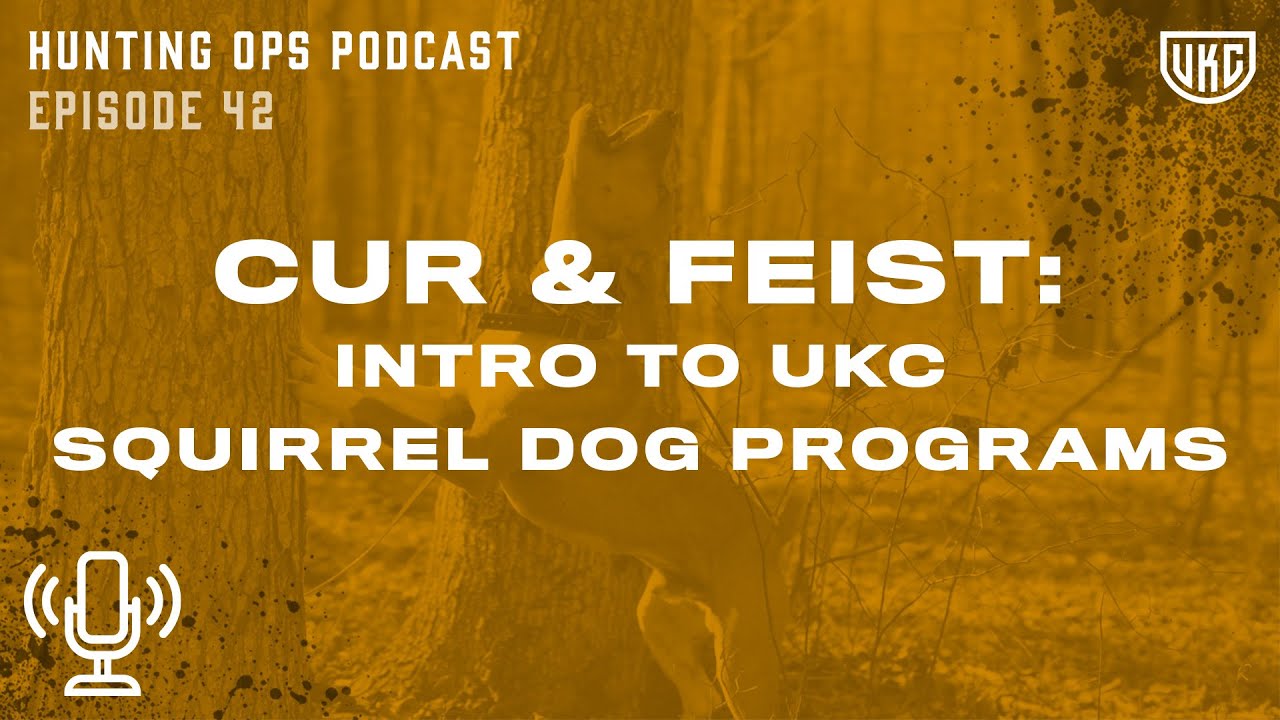 Ukc Cur And Feist Upcoming Events Ukc Cur And Feist Upcoming Events