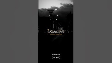 تلاوة هادئة كسكون الليل 31 ثانية من الهدوء 😴 - لكل من ضاقت به الدنيا 💔 - تلاوة تريح القلب والعقل🧠