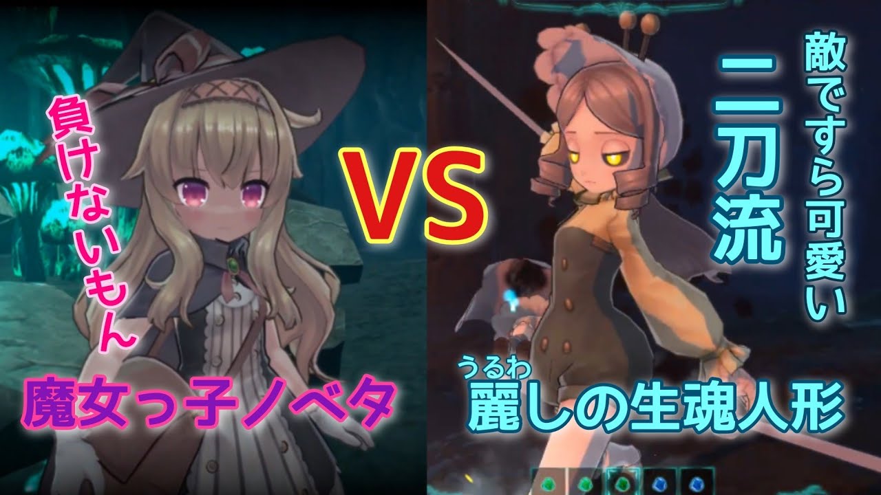 予約販売 本 スプラトゥーン2とリトルウィッチノベタ 家庭用ゲームソフト Www Consulting4it Pt