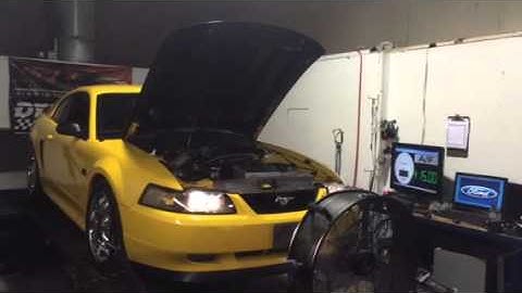 99 Mustang GT N/A Dyno Pull