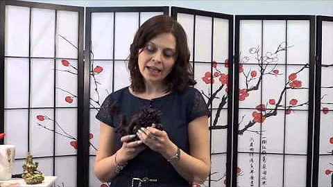 Символы и талисманы. Часть 7. Дракон и Черепаха